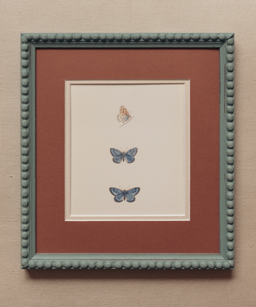 The Butterfly Garden Print