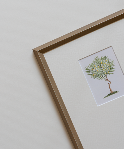Framed print of a lemon tree