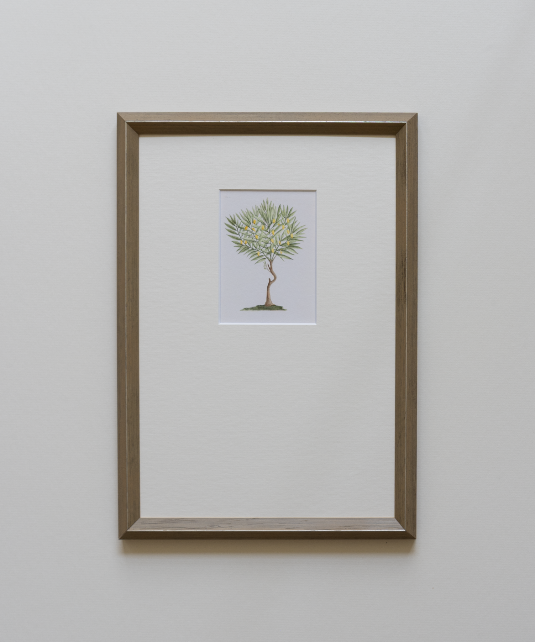 Framed artwork of an antique print of a lemon tree 