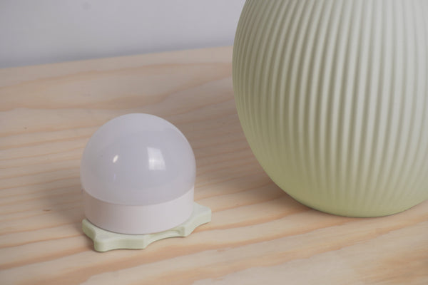 The Seed Lamp - Sage