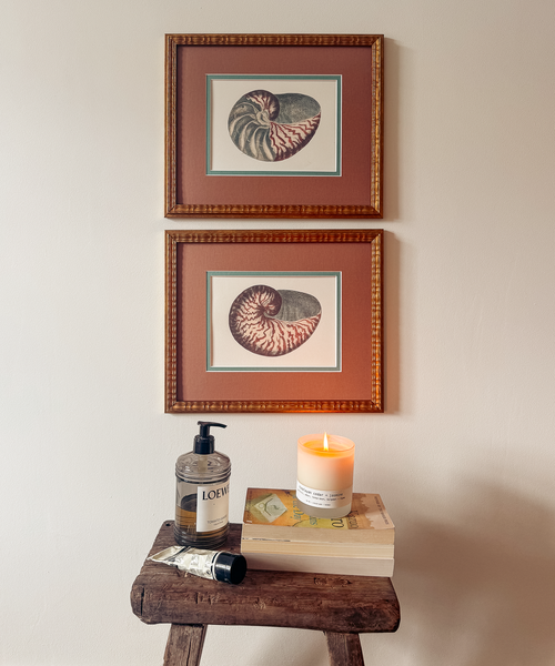 The Nautilus Studies Print