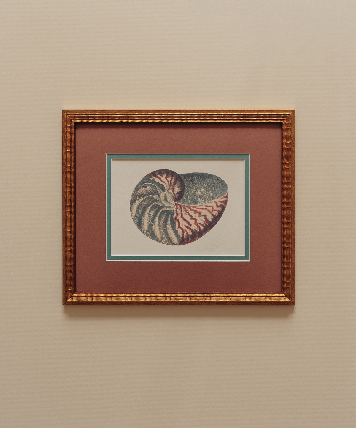 The Nautilus Studies Print