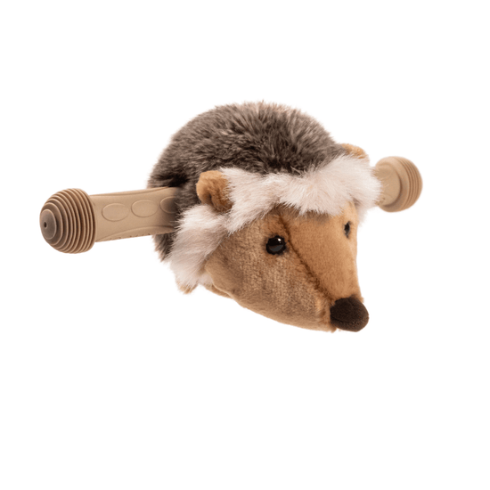 Hedgehog Scooter Head
