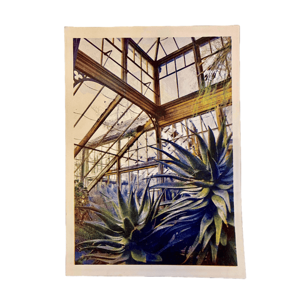 Glasshouse Interior Risograph A4 Print