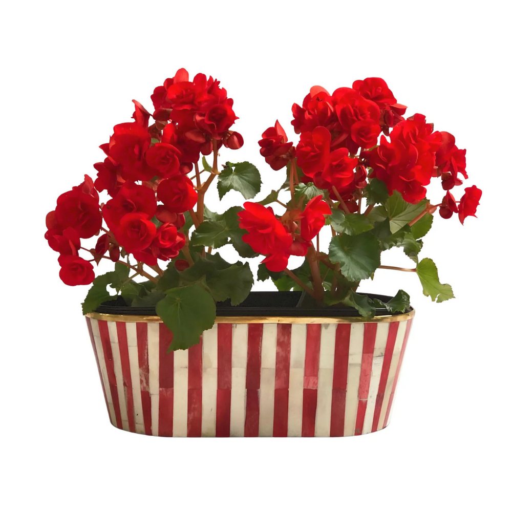 Oblong Inlay Planter | Large | Ruby Red | Striped