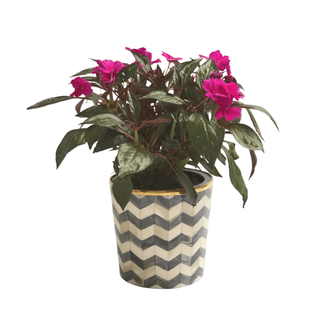 Round Inlay Planter | Medium | Grey | Chevron