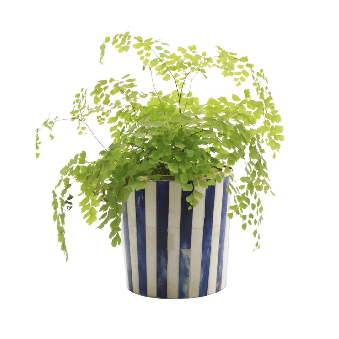 Round Inlay Planter | Medium | Navy Blue | Striped