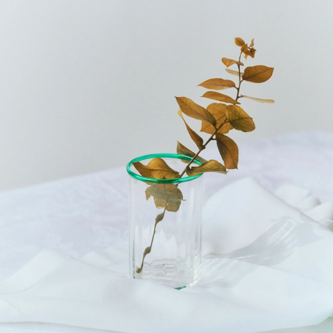 Peter Glass Green Large - Set of Four