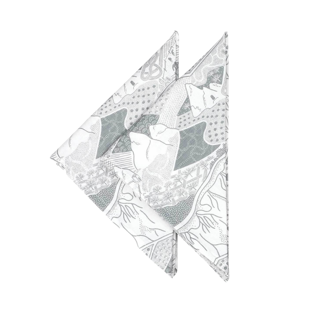 Valley Views Napkins - Set of 2