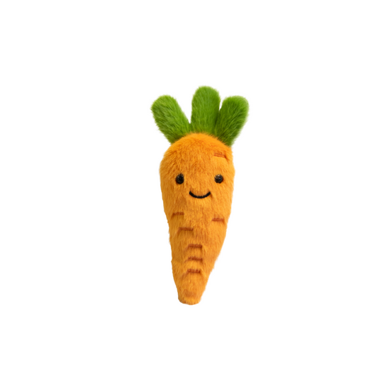 Garden Friends Carrot