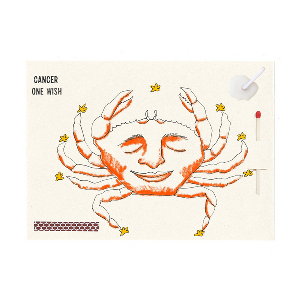 Zodiac Cards Collection