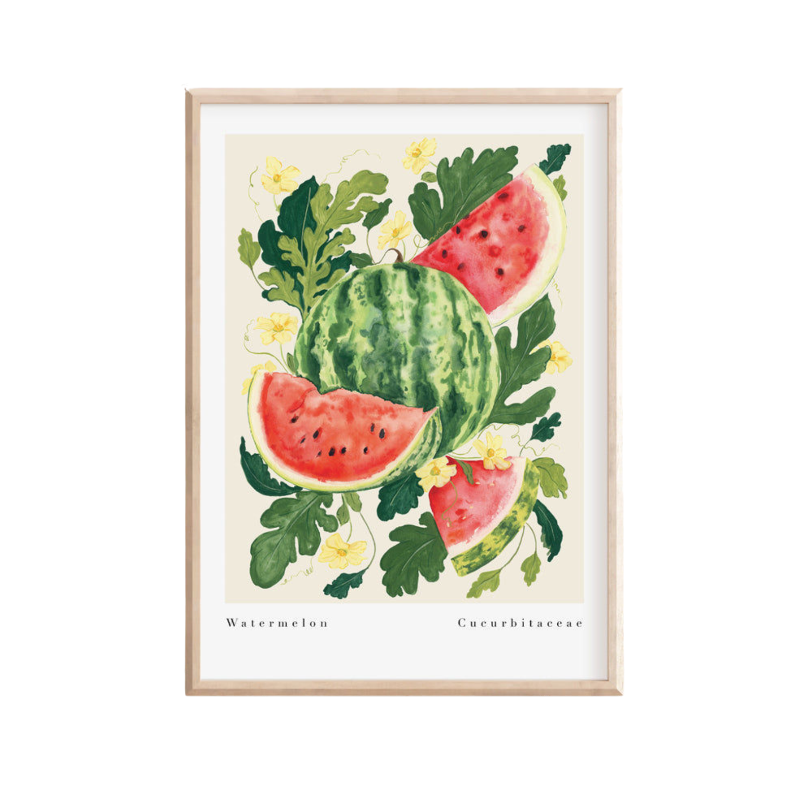 Watermelon Art Print