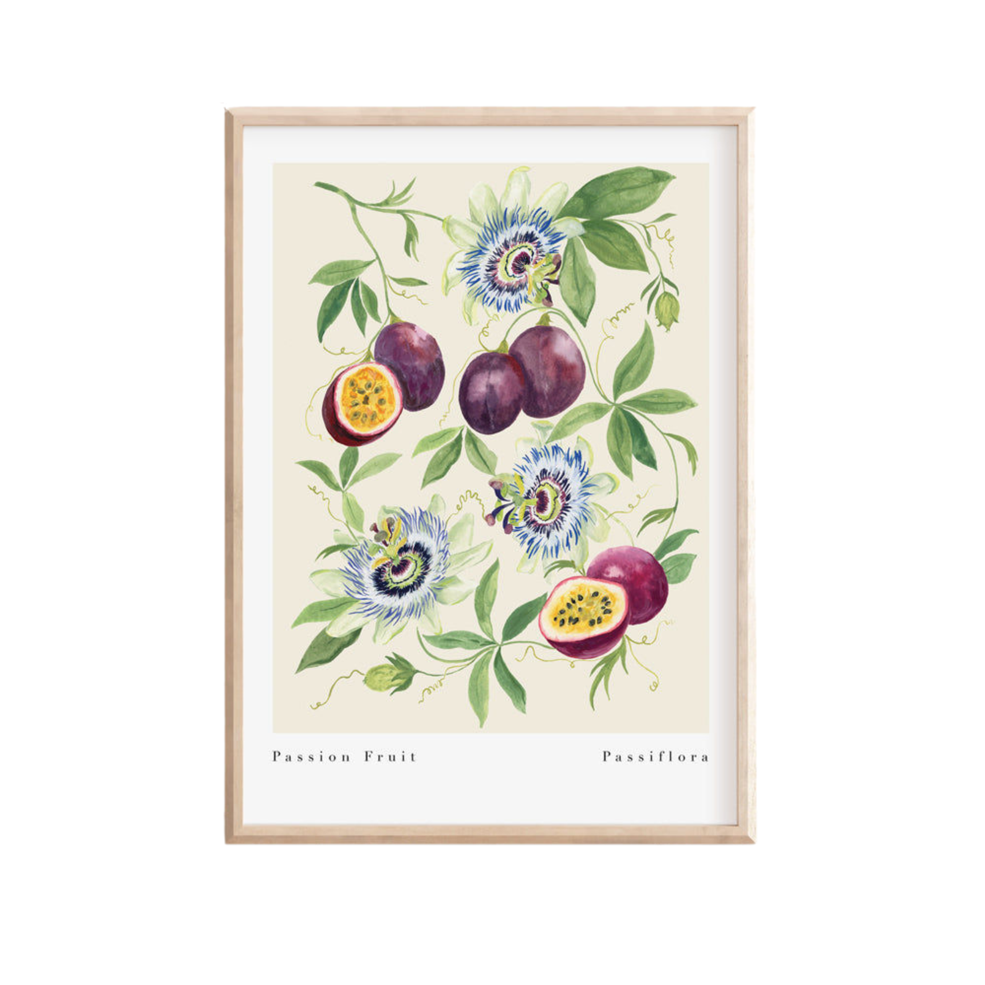 Passion Fruit Art Print