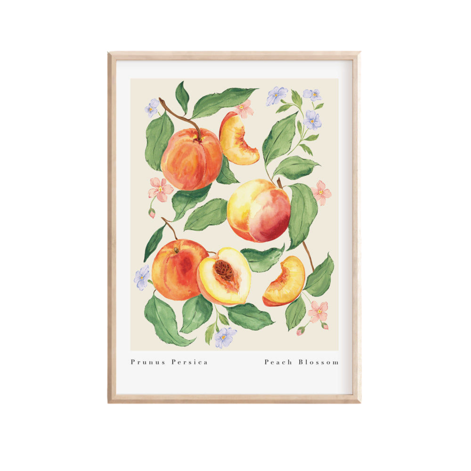 Peach Blossom Art Print