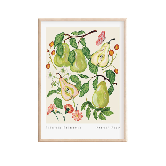 Primula Primrose Pear Art Print