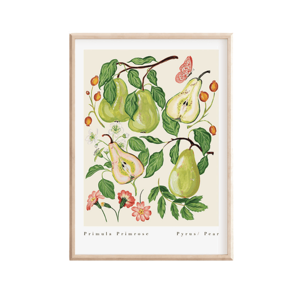 Primula Primrose Pear Art Print-