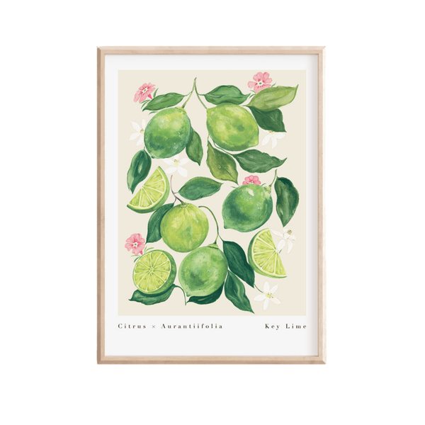 Key Lime Art Print-
