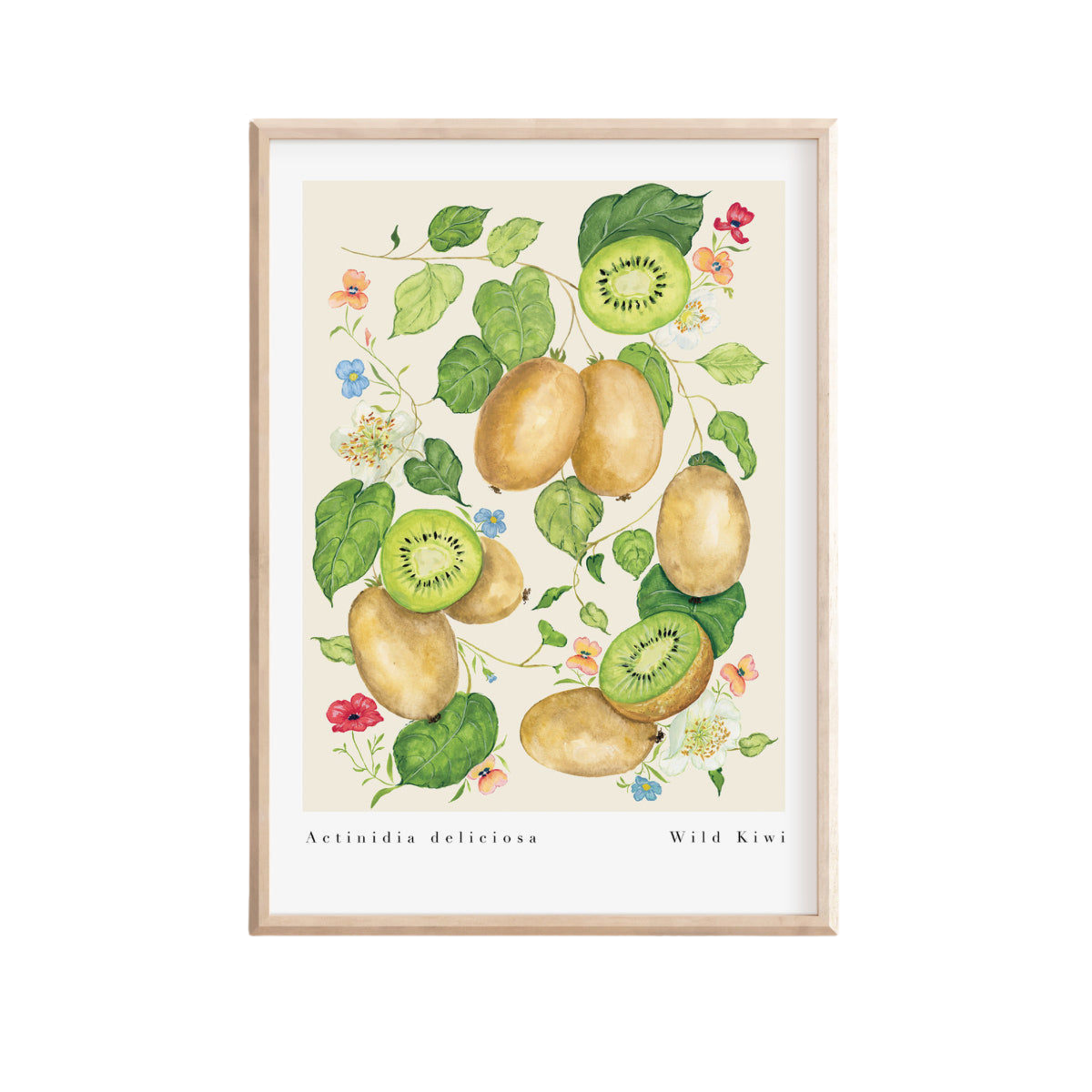 Kiwi Fruit Art Print