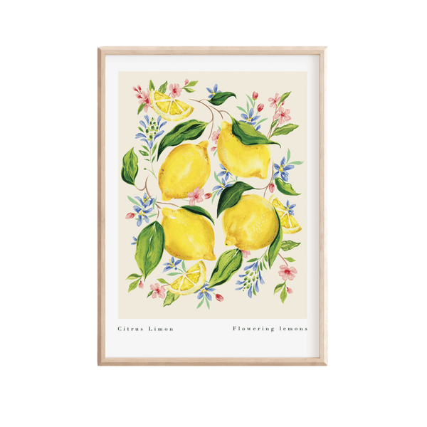 Citrus Limon Art Print-