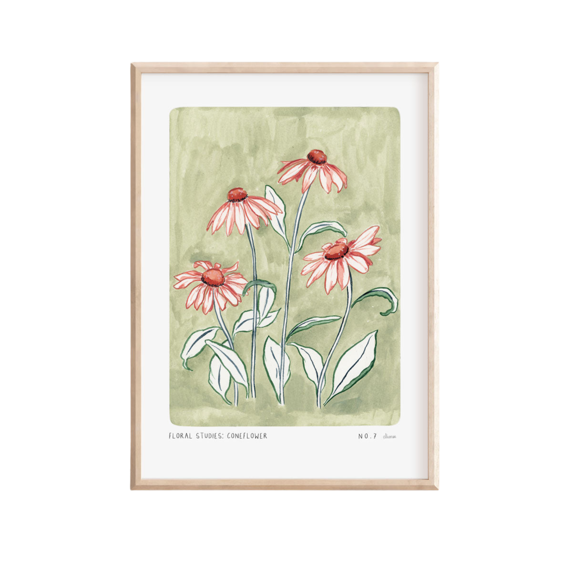 Coneflower Art Print