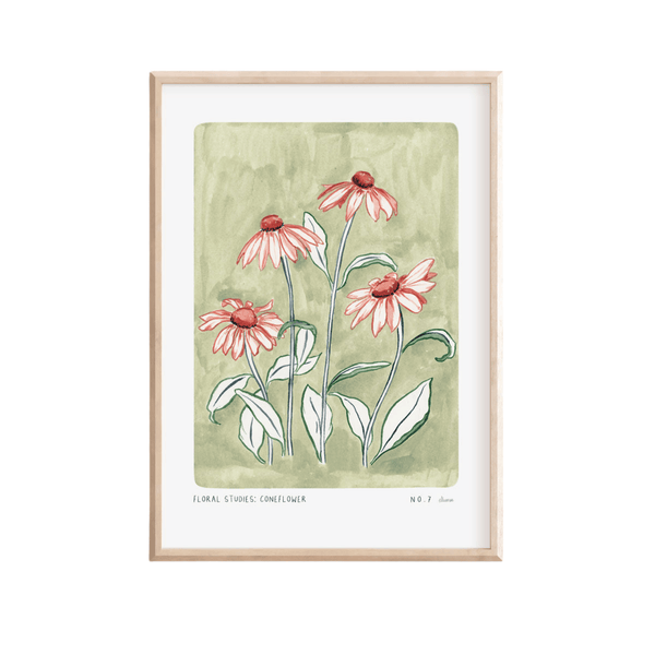 Coneflower Art Print-