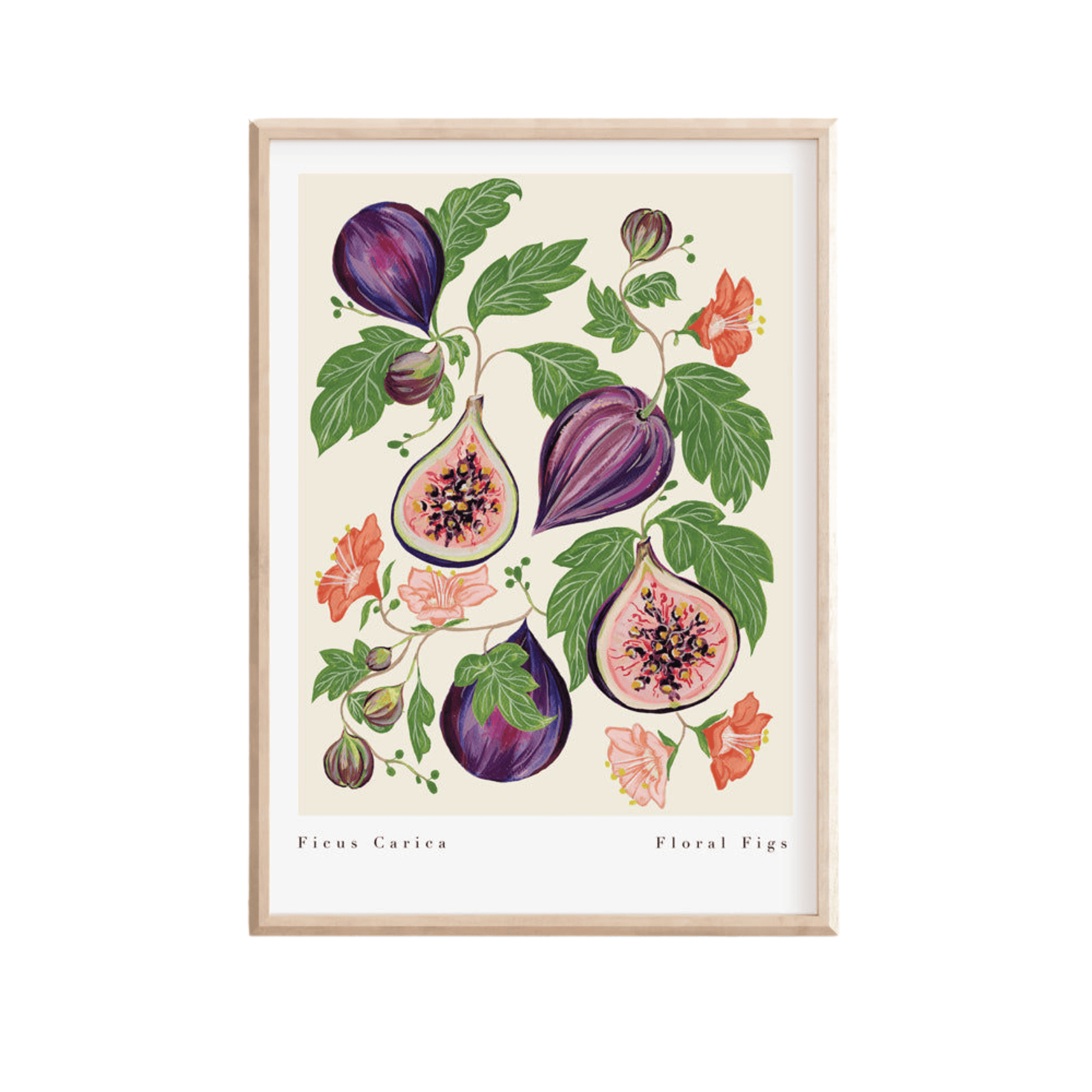 Floral Figs Art Print