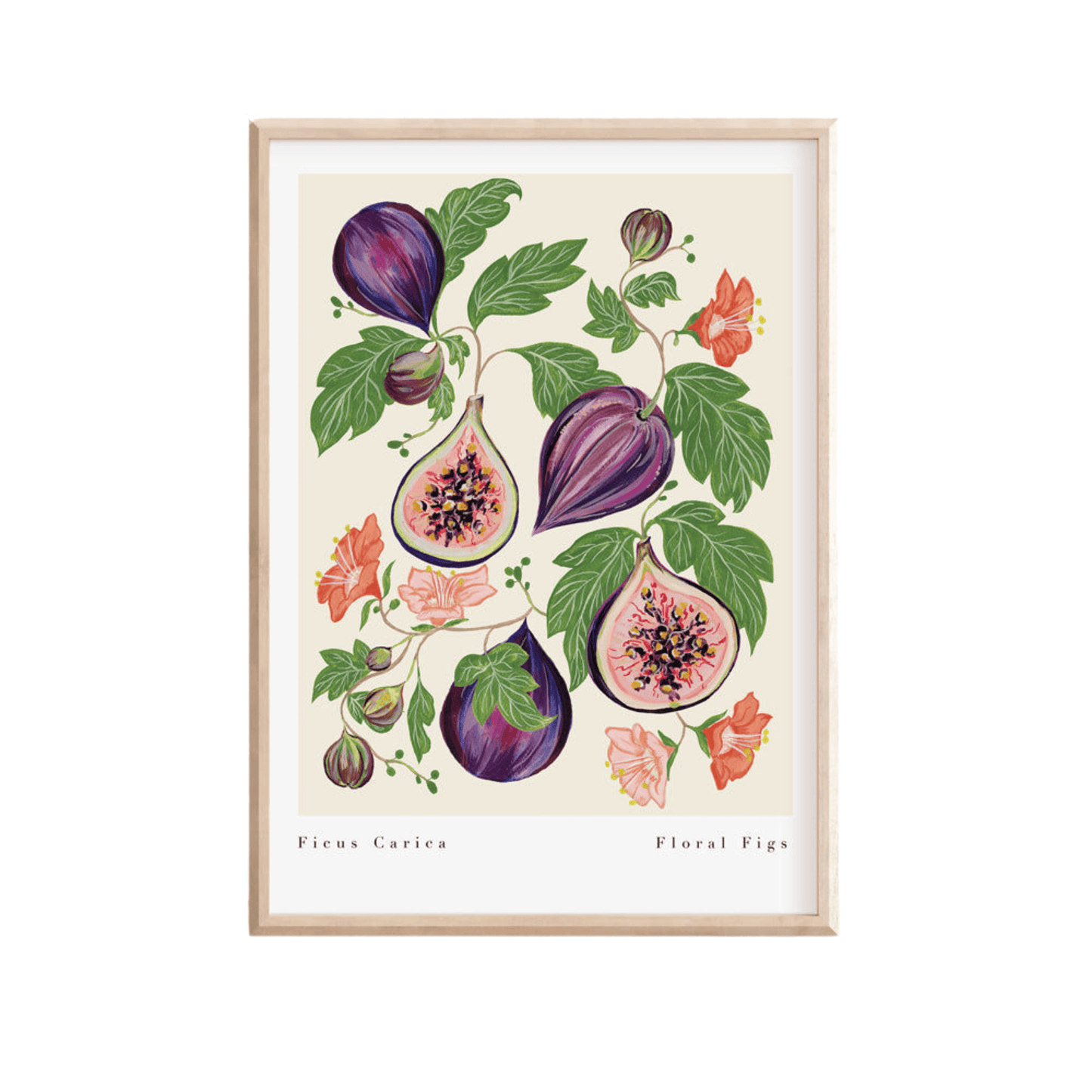 Floral Figs Art Print