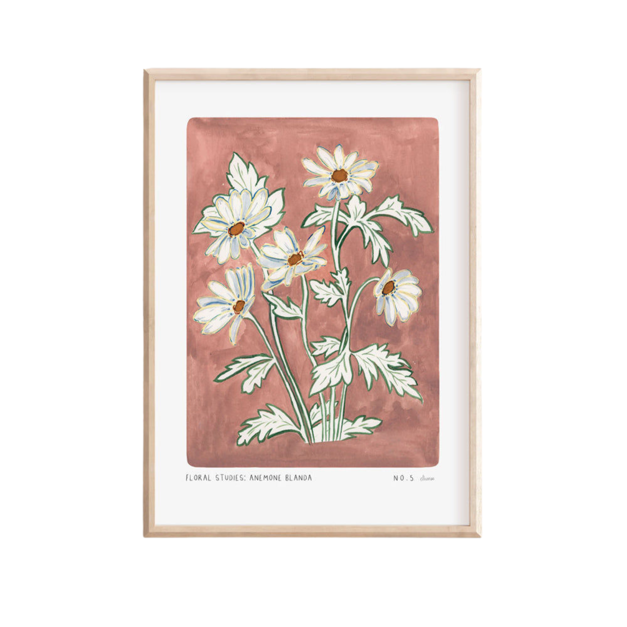 Anemone Blanda Art Print