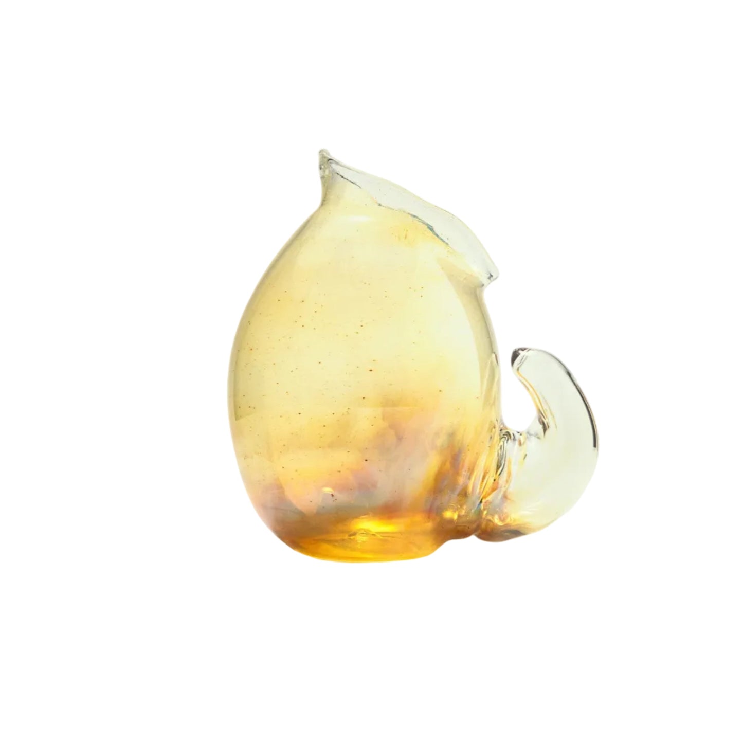 Shell Glasses