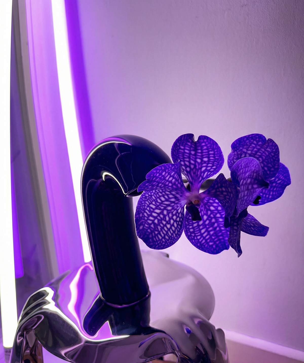 VITA Vase in Cobalt Blue