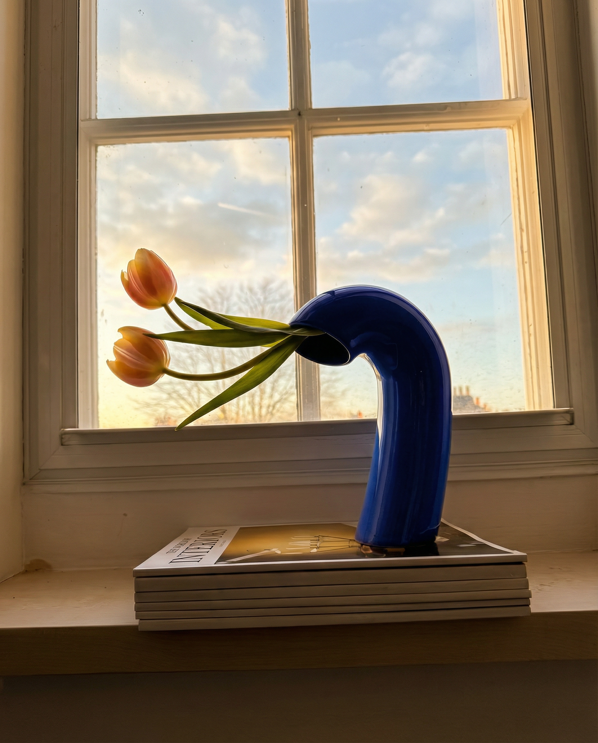 VITA Vase in Cobalt Blue