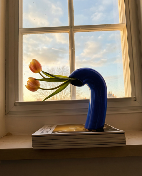 VITA Vase in Cobalt Blue