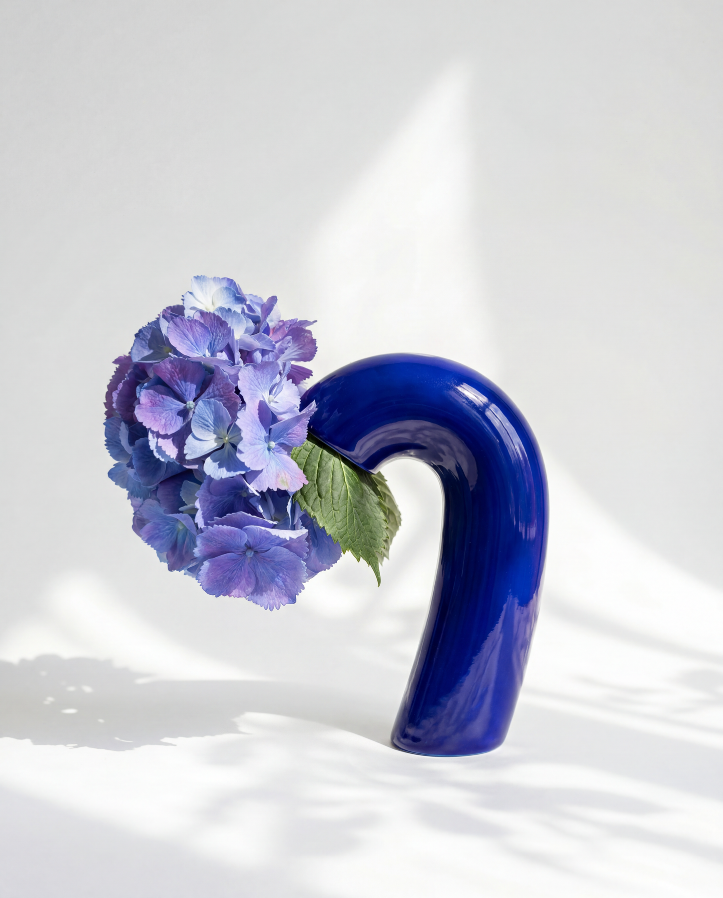 VITA Vase in Cobalt Blue