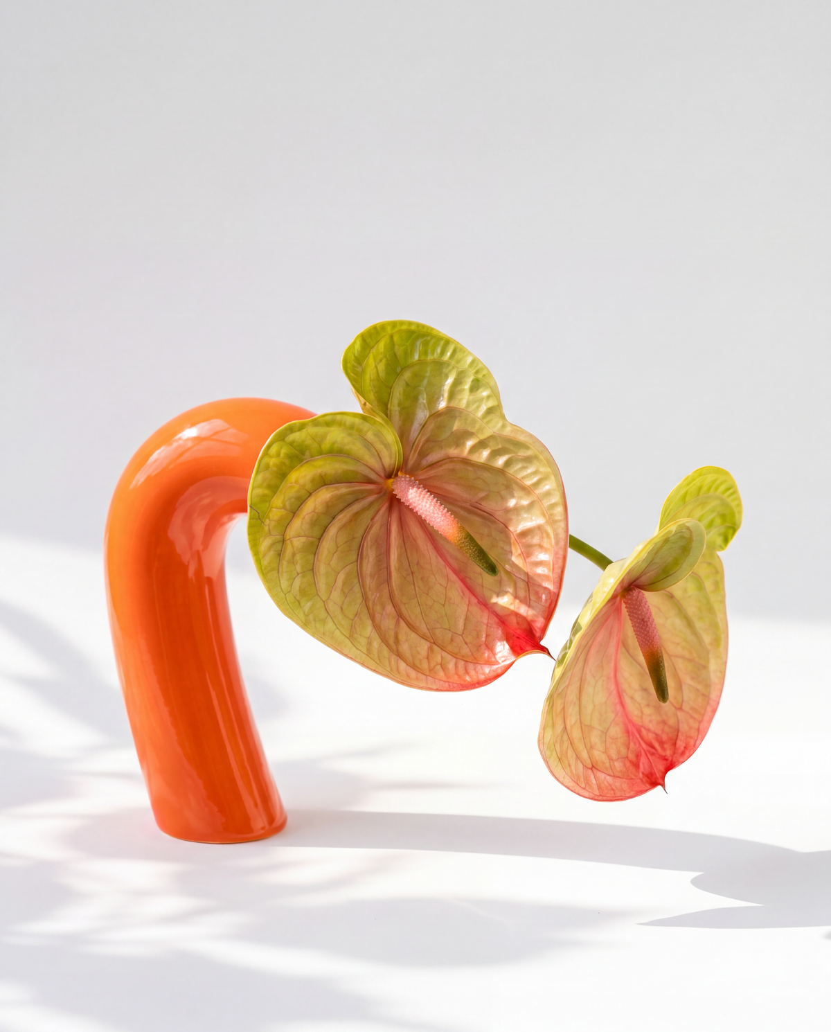 VITA Vase in Micha Orange