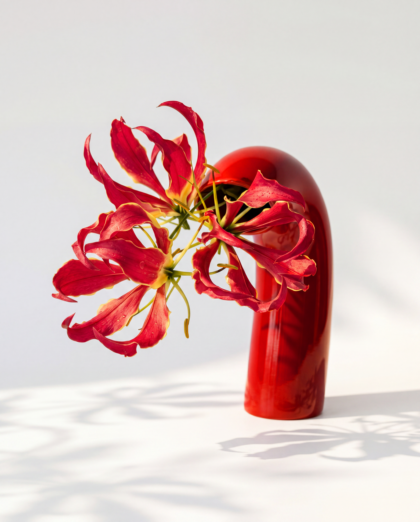 VITA Vase in Poppy Red