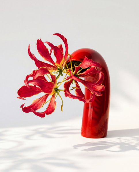 VITA Vase in Poppy Red