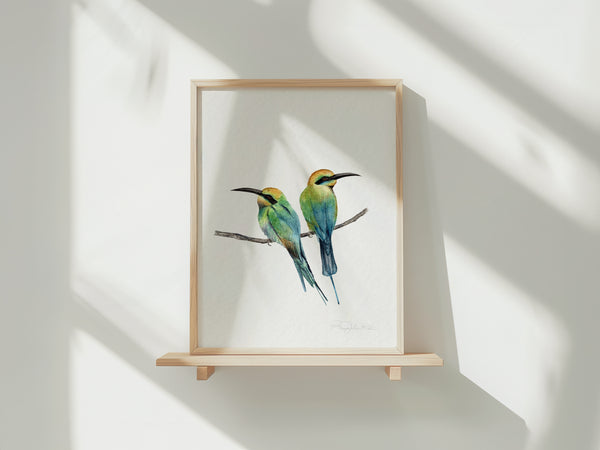 Rainbow Bee Eater Birds Fine Art Print