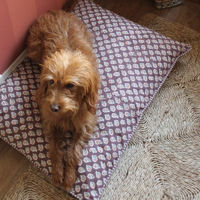 Dog sitting on a patterned rug with a textured rug and wooden floor in the background
