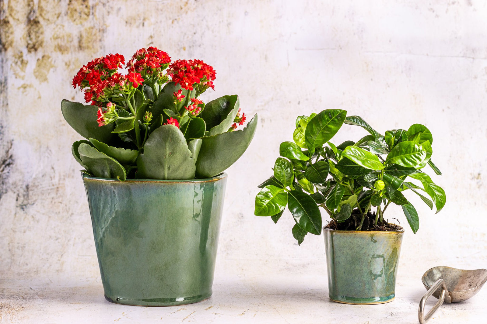 Millfileld Large Plant Pot