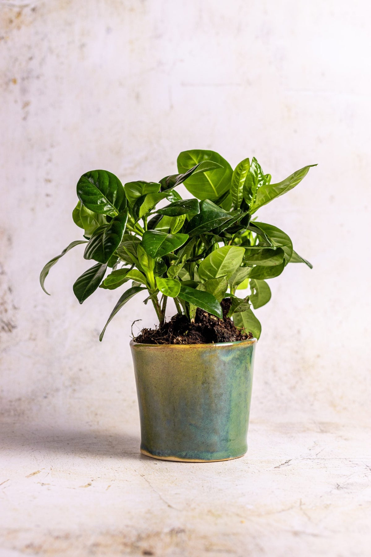 Millfield Small Plant Pot