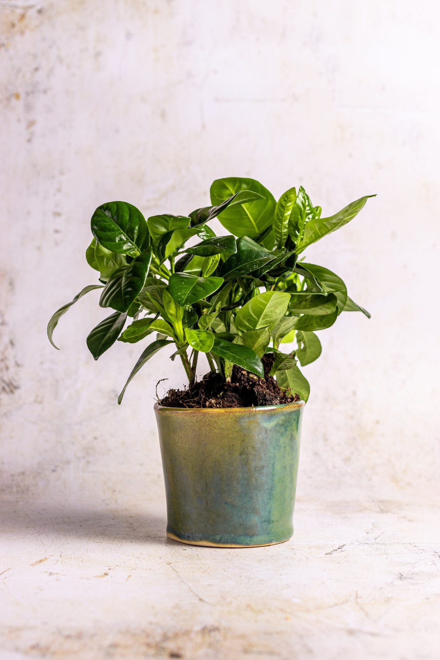 Millfield Small Plant Pot
