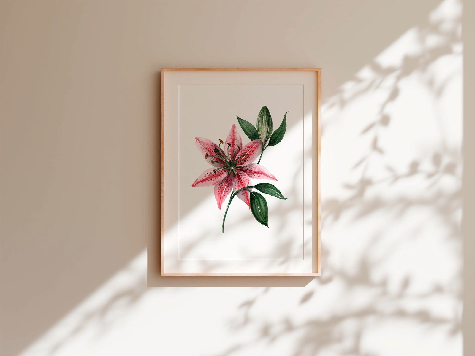 Stargazer Lily Fine Art Print