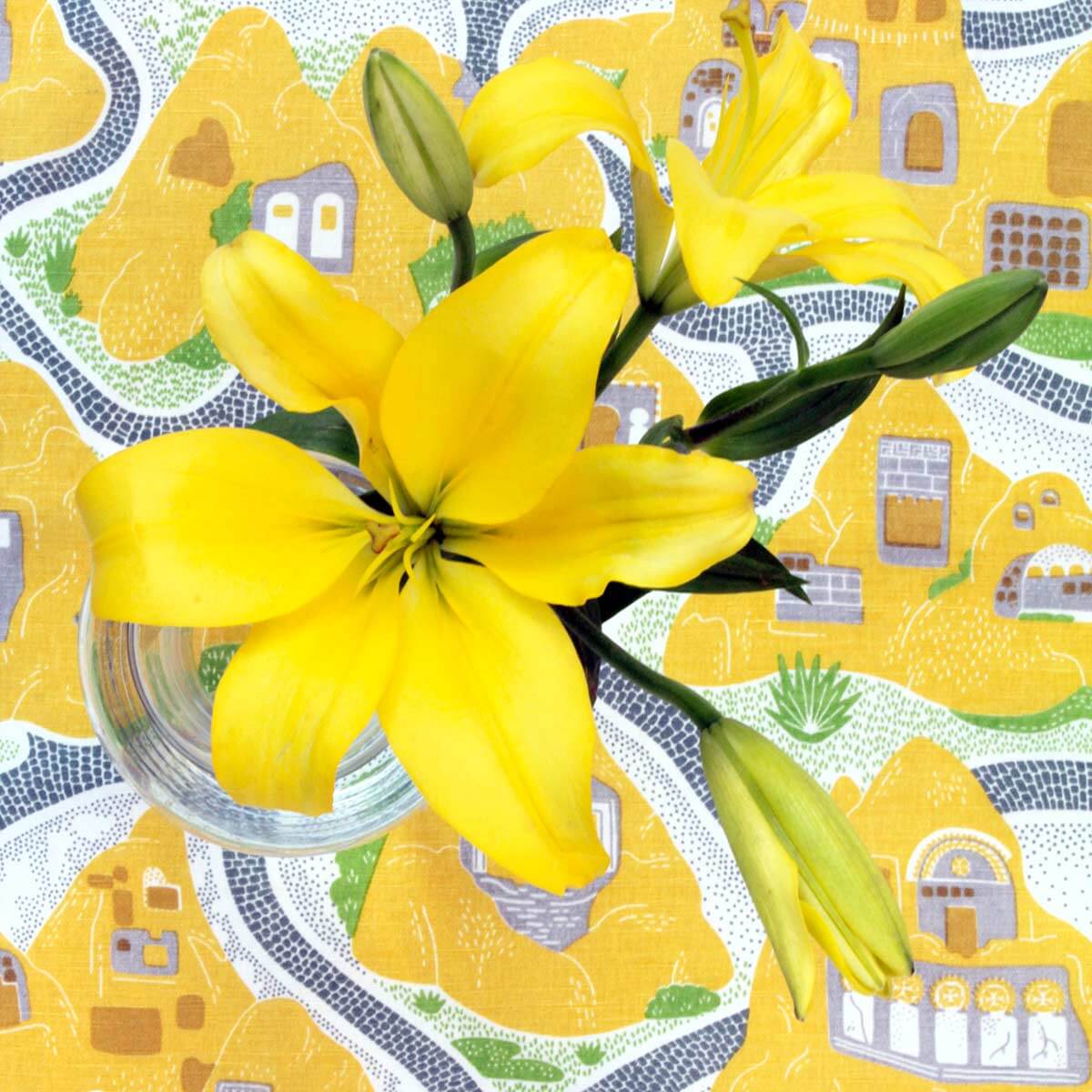 Cave House Table Cloth