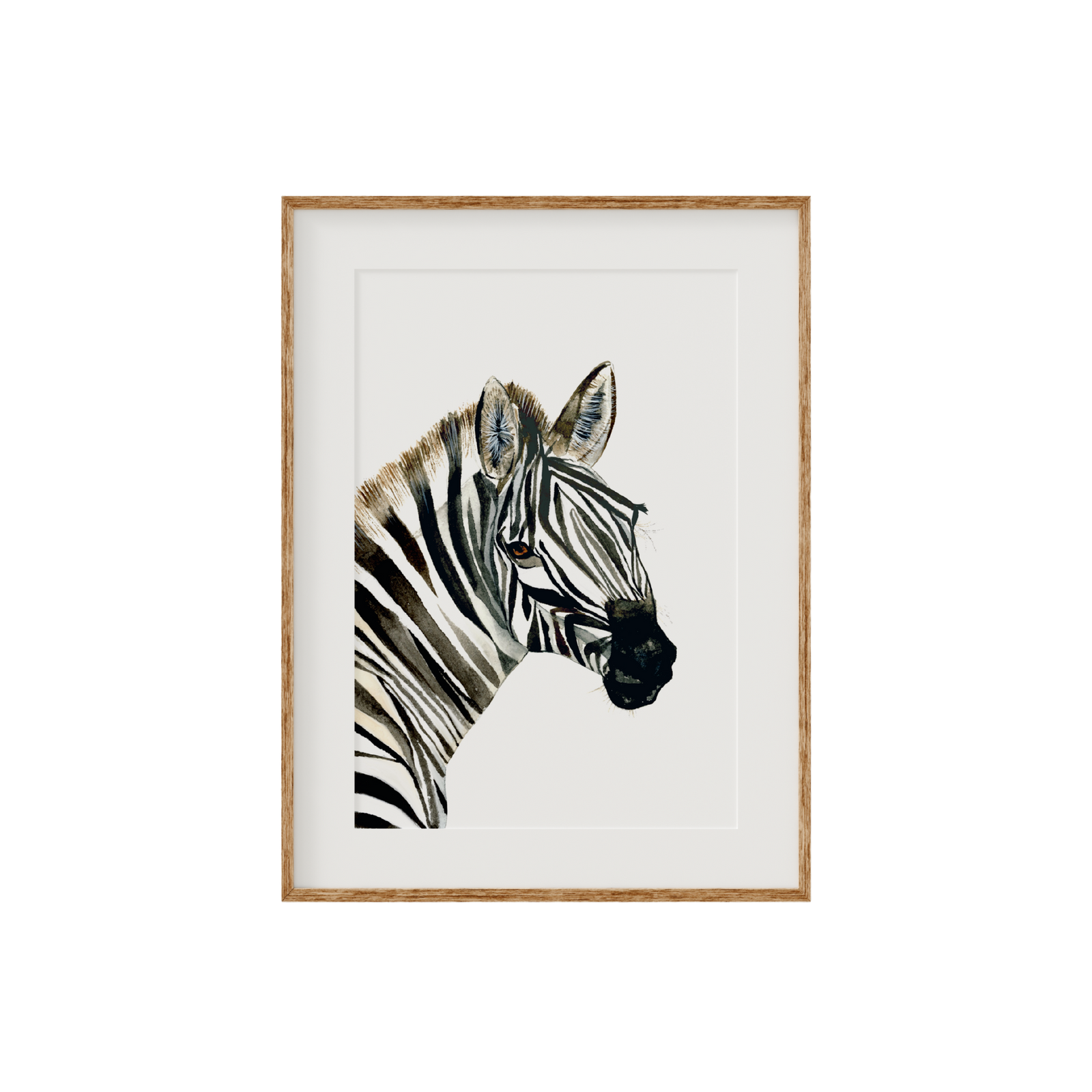 Zahara | Zebra | Limited Edition Fine Art Print