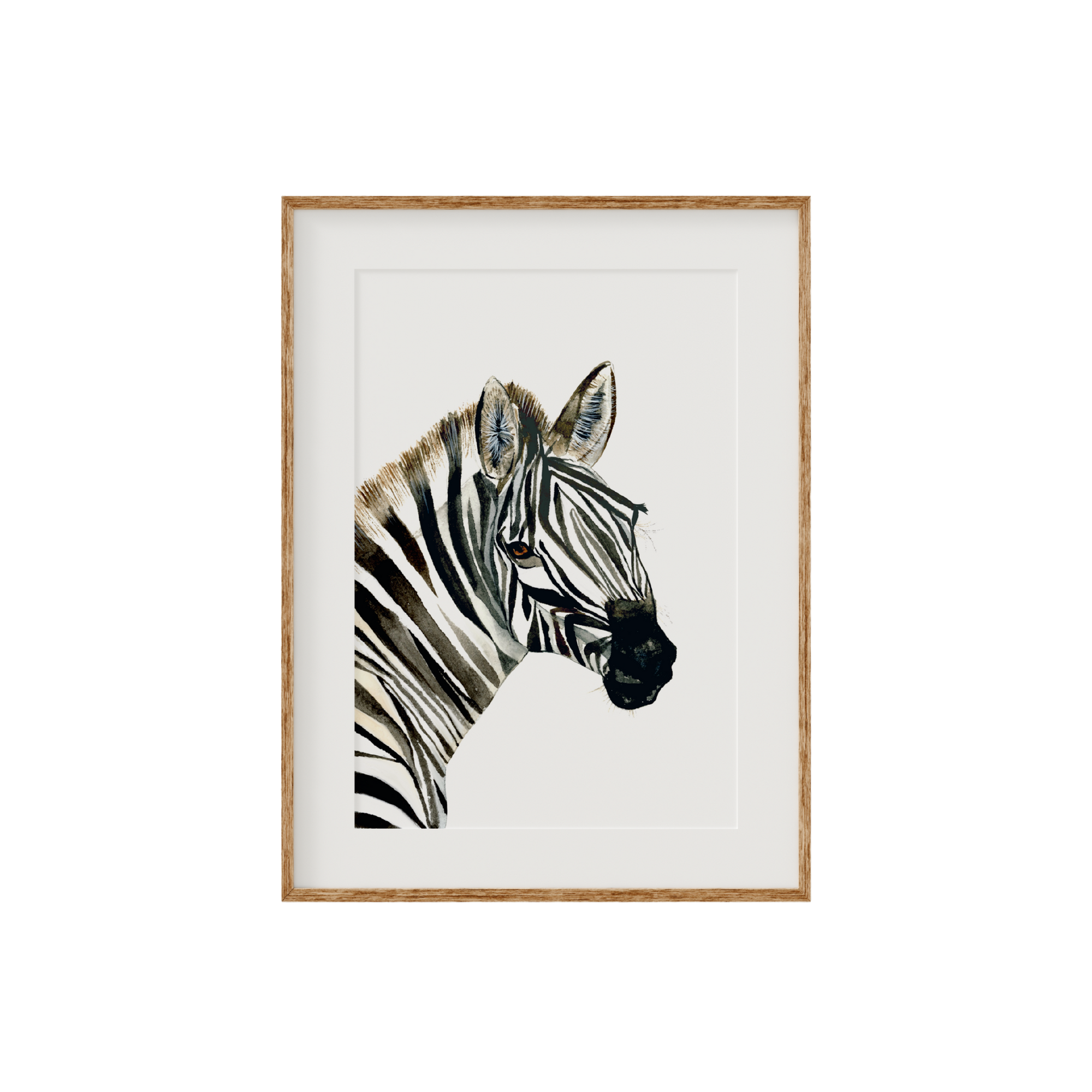 Zahara | Zebra | Limited Edition Fine Art Print