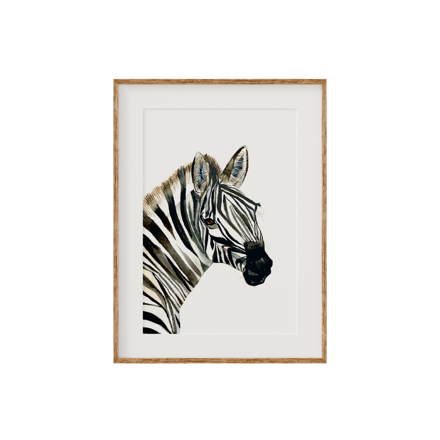 Zahara | Zebra | Limited Edition Fine Art Print