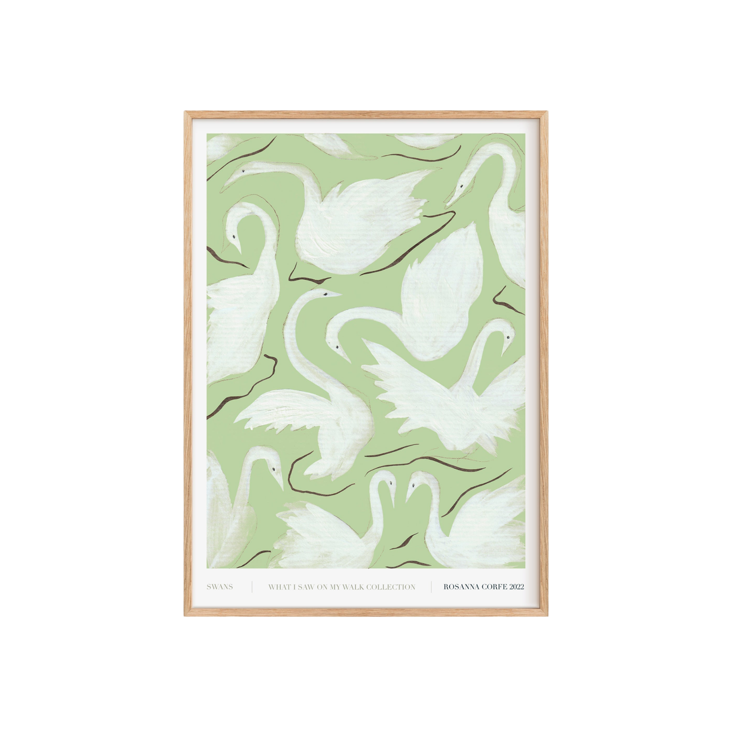 Swans Green Art Print
