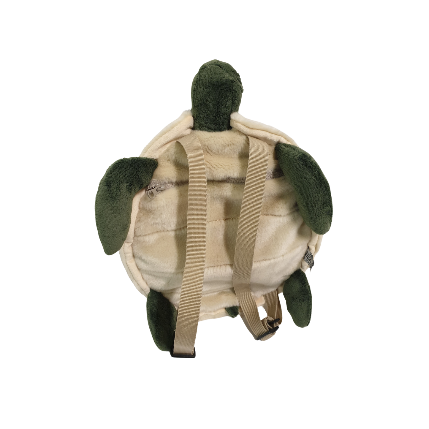 Backpack Turtle