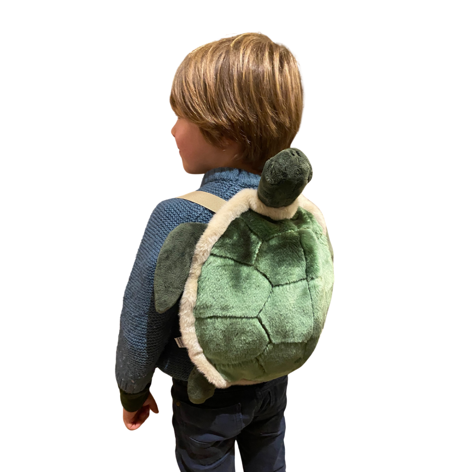 Backpack Turtle