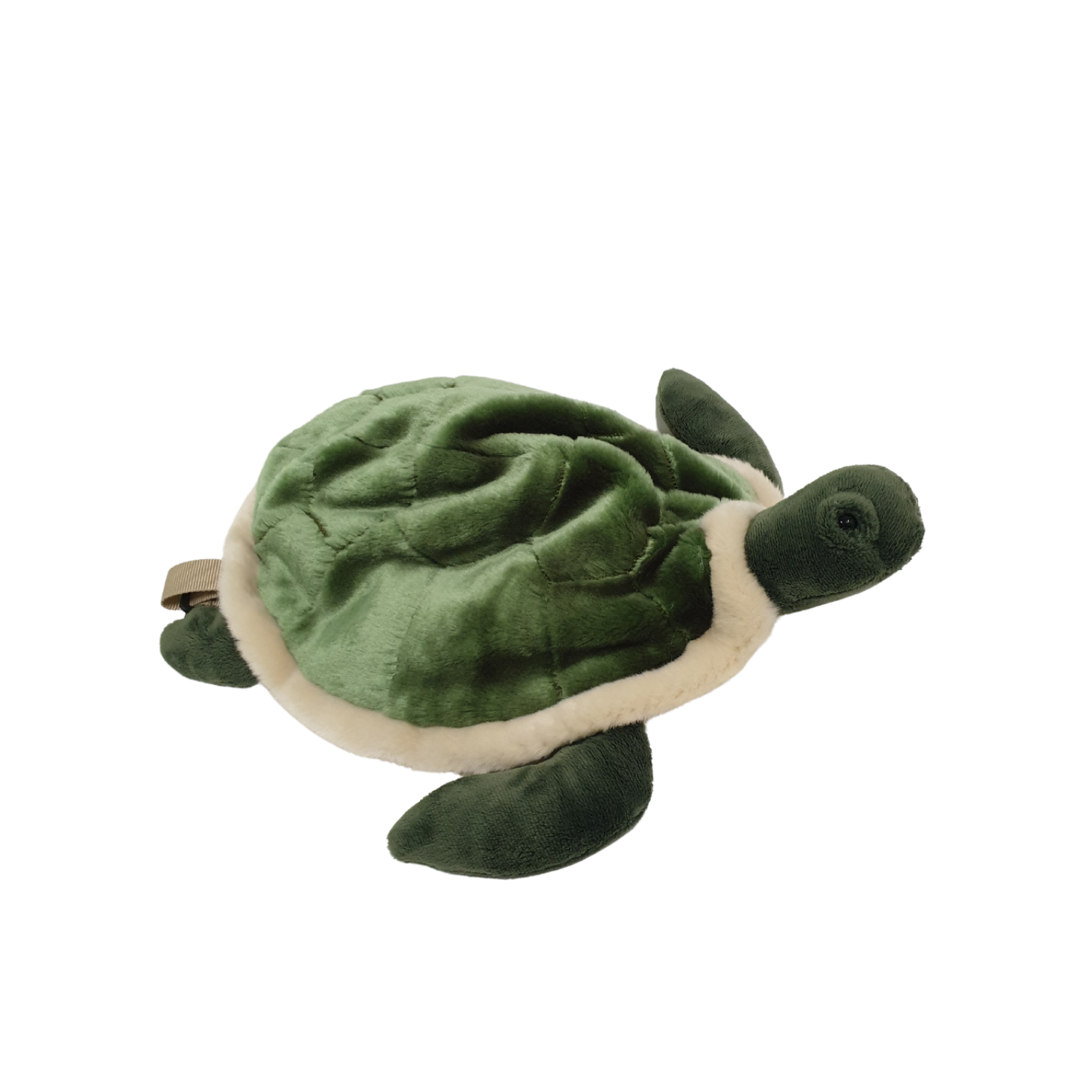 Backpack Turtle
